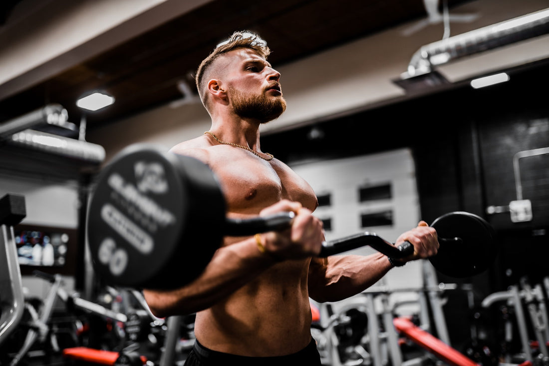 Does having high estrogen build more muscle?