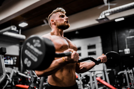 Does having high estrogen build more muscle?