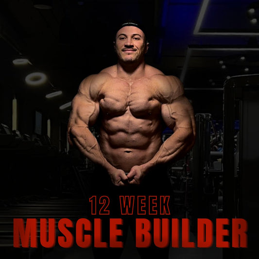 12 Week Muscle Builder